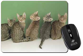 Cute Ocicat Kittens Computer Mouse Mat