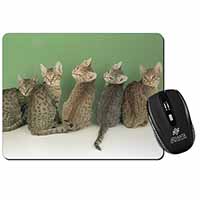 Cute Ocicat Kittens Computer Mouse Mat