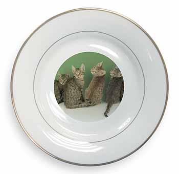 Cute Ocicat Kittens Gold Rim Plate Printed Full Colour in Gift Box