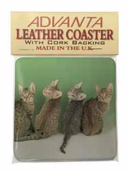 Cute Ocicat Kittens Single Leather Photo Coaster