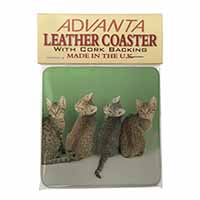 Cute Ocicat Kittens Single Leather Photo Coaster, Printed Full Colour  - Advanta Group®