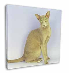 Mystical Oriental Cat Square Canvas 12"x12" Wall Art Picture Print