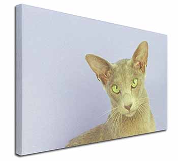 Mystical Oriental Cat Canvas X-Large 30"x20" Wall Art Print