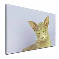 Mystical Oriental Cat Canvas X-Large 30"x20" Wall Art Print