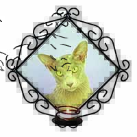 Mystical Oriental Cat Wrought Iron Wall Art Candle Holder