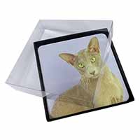 4x Mystical Oriental Cat Picture Table Coasters Set in Gift Box