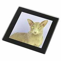 Mystical Oriental Cat Black Rim High Quality Glass Coaster