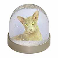 Mystical Oriental Cat Snow Globe Photo Waterball
