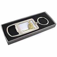 Mystical Oriental Cat Chrome Metal Bottle Opener Keyring in Box