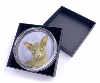 Mystical Oriental Cat Glass Paperweight in Gift Box