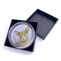 Mystical Oriental Cat Glass Paperweight in Gift Box