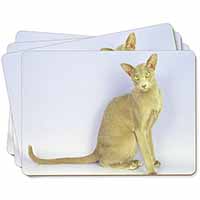 Mystical Oriental Cat Picture Placemats in Gift Box