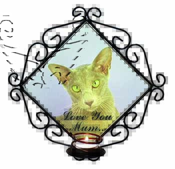 Oriental Cat 