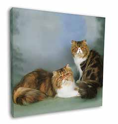 Tabby Tortie Persian Cats Square Canvas 12"x12" Wall Art Picture Print