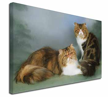 Tabby Tortie Persian Cats Canvas X-Large 30"x20" Wall Art Print
