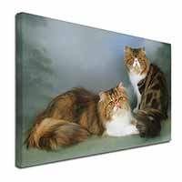 Tabby Tortie Persian Cats Canvas X-Large 30"x20" Wall Art Print