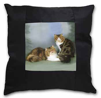Tabby Tortie Persian Cats Black Satin Feel Scatter Cushion