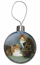 Tabby Tortie Persian Cats Christmas Bauble