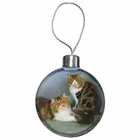 Tabby Tortie Persian Cats Christmas Bauble