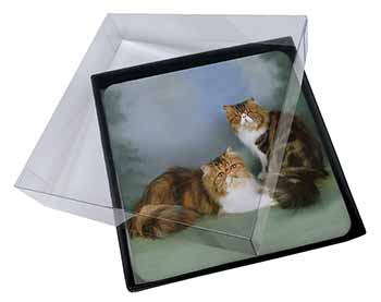 4x Tabby Tortie Persian Cats Picture Table Coasters Set in Gift Box