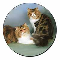 Tabby Tortie Persian Cats Fridge Magnet Printed Full Colour