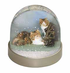 Tabby Tortie Persian Cats Snow Globe Photo Waterball