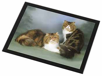 Tabby Tortie Persian Cats Black Rim High Quality Glass Placemat