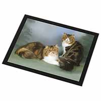 Tabby Tortie Persian Cats Black Rim High Quality Glass Placemat
