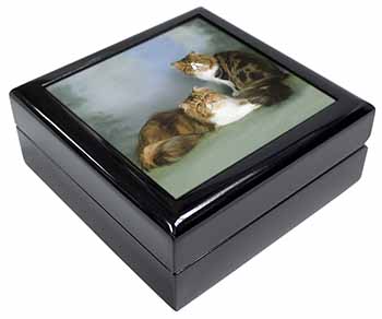 Tabby Tortie Persian Cats Keepsake/Jewellery Box