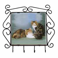 Tabby Tortie Persian Cats Wrought Iron Key Holder Hooks