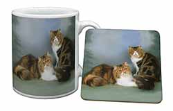 Tabby Tortie Persian Cats Mug and Coaster Set