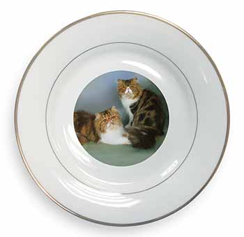 Tabby Tortie Persian Cats Gold Rim Plate Printed Full Colour in Gift Box