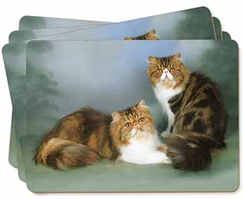 Tabby Tortie Persian Cats Picture Placemats in Gift Box