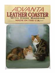 Tabby Tortie Persian Cats Single Leather Photo Coaster