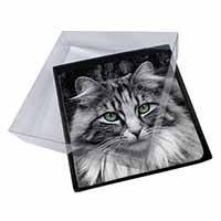 4x Gorgeous Green Eyes Cat Picture Table Coasters Set in Gift Box