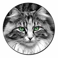 Gorgeous Green Eyes Cat Fridge Magnet Printed Full Colour