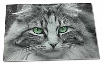 Large Glass Cutting Chopping Board Gorgeous Green Eyes Cat