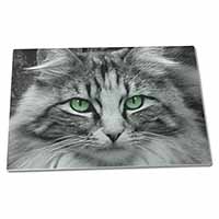 Large Glass Cutting Chopping Board Gorgeous Green Eyes Cat