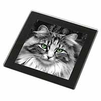 Gorgeous Green Eyes Cat Black Rim High Quality Glass Coaster