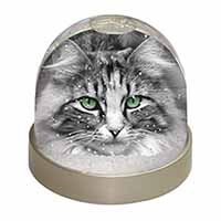 Gorgeous Green Eyes Cat Snow Globe Photo Waterball