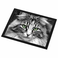 Gorgeous Green Eyes Cat Black Rim High Quality Glass Placemat