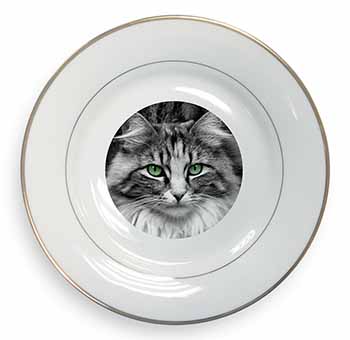 Gorgeous Green Eyes Cat Gold Rim Plate Printed Full Colour in Gift Box