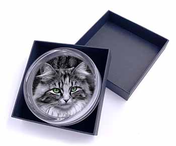 Gorgeous Green Eyes Cat Glass Paperweight in Gift Box