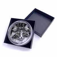 Gorgeous Green Eyes Cat Glass Paperweight in Gift Box