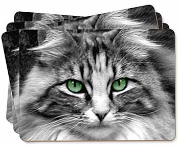 Gorgeous Green Eyes Cat Picture Placemats in Gift Box