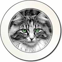 Gorgeous Green Eyes Cat Car or Van Permit Holder/Tax Disc Holder