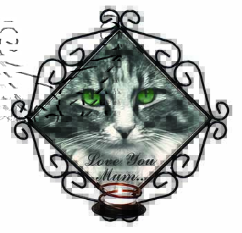 Beautiful Cat 