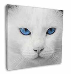Blue Eyed White Cat Square Canvas 12"x12" Wall Art Picture Print