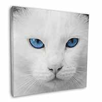 Blue Eyed White Cat Square Canvas 12"x12" Wall Art Picture Print