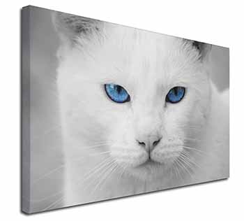 Blue Eyed White Cat Canvas X-Large 30"x20" Wall Art Print